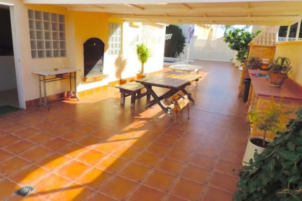 Luxury Villa 20Mts Far From The Sea Orihuela Exteriör bild